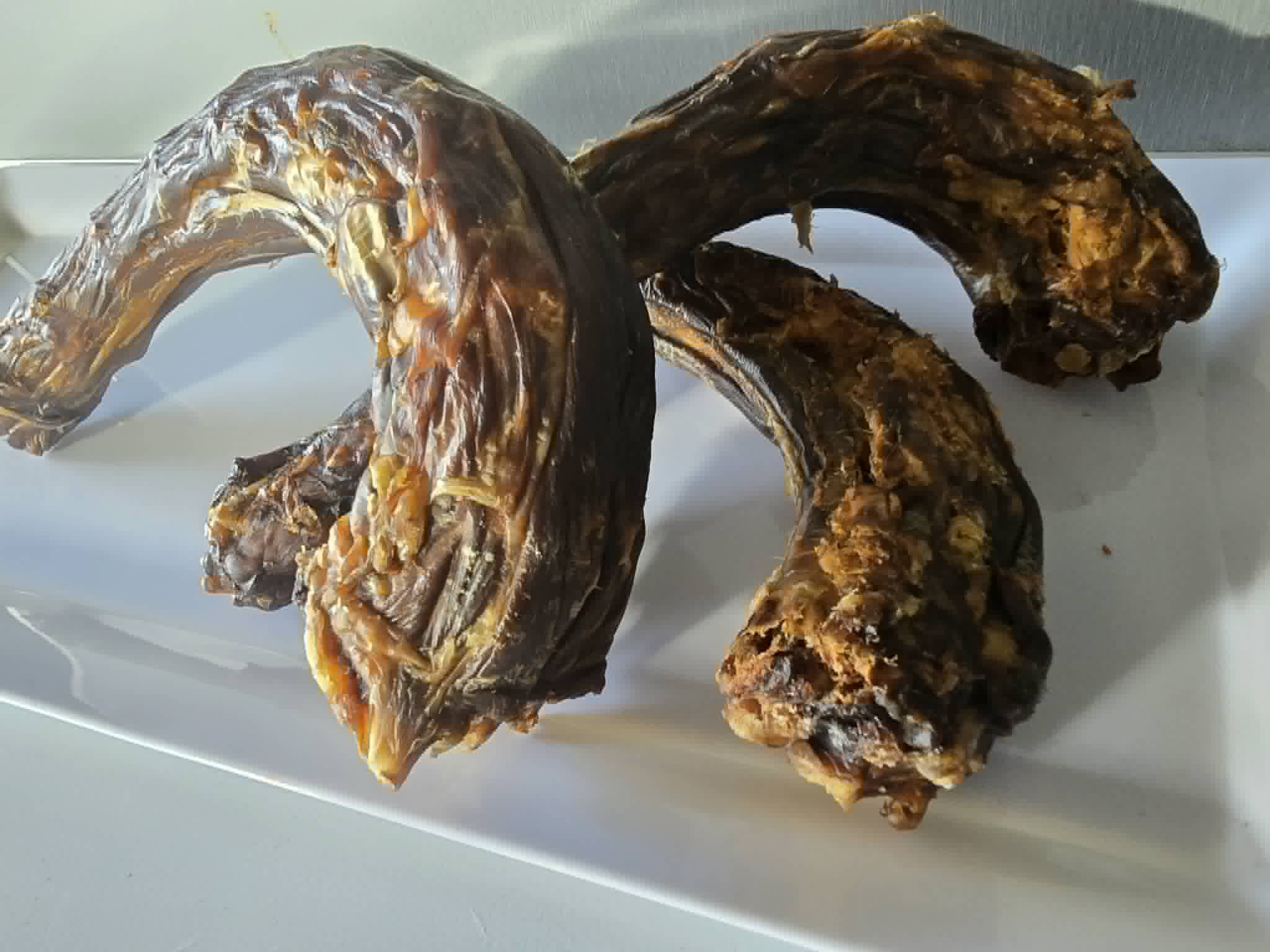Turkey Neck