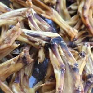 Duck Feet