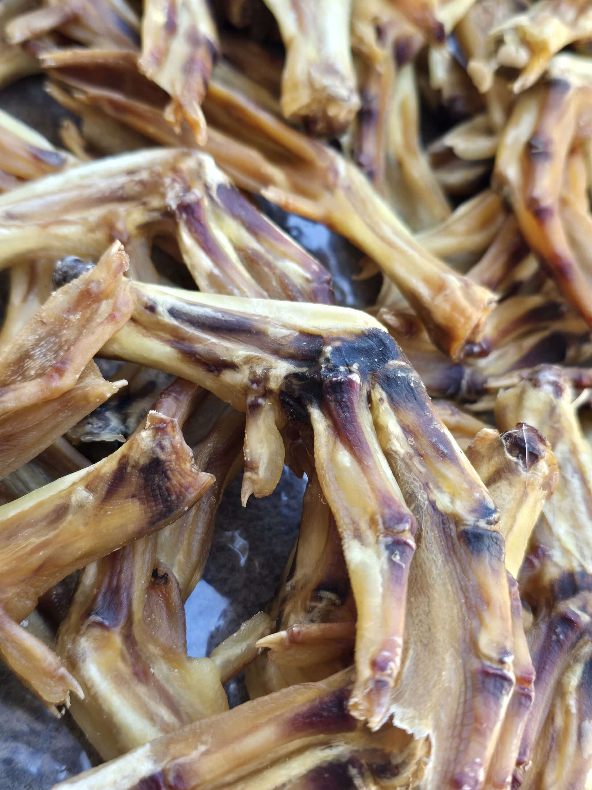 Duck Feet