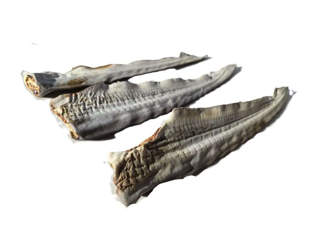 Australian Shark Tail (Premium Long-Lasting Chew)