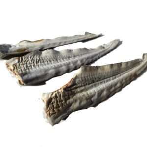 Australian Shark Tail (Premium Long-Lasting Chew)