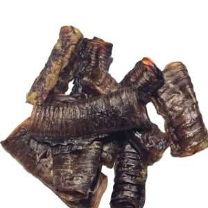 Emu Trachea