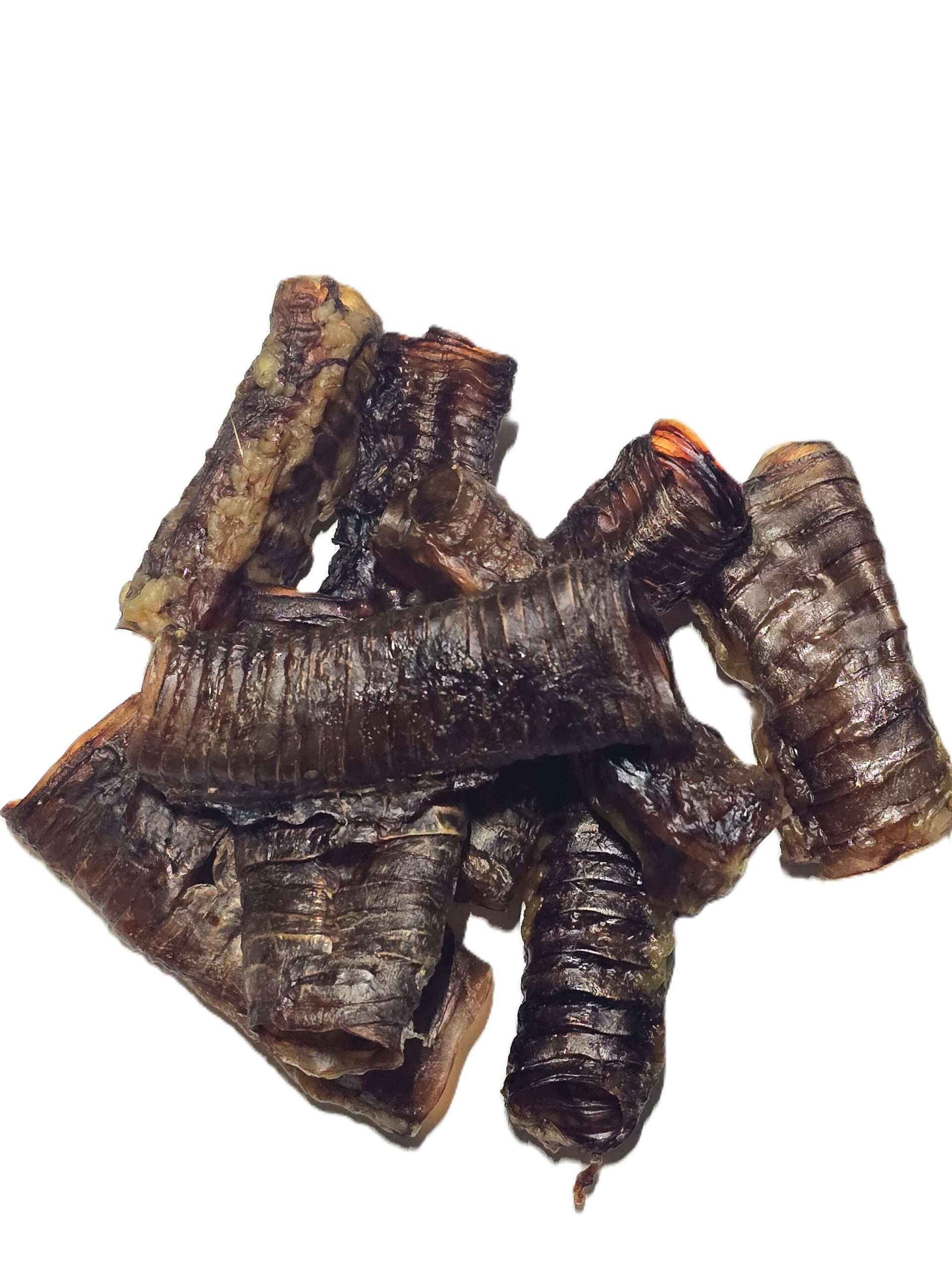 Emu Trachea