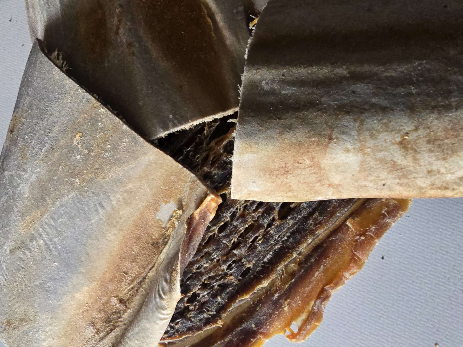 Shark Skin Squares