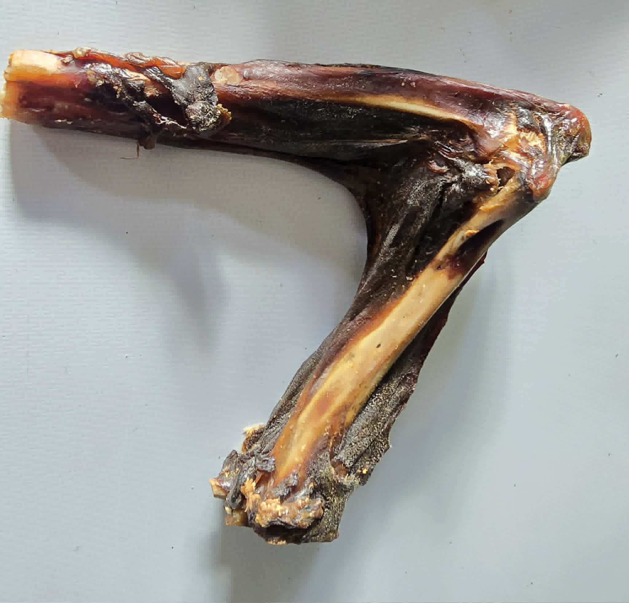 Kangaroo Boomerang