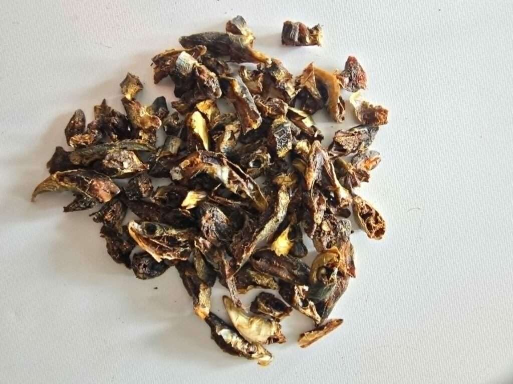 Sardine Chunks