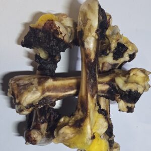 Emu Femur