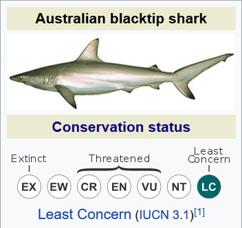 Shark Cartilage