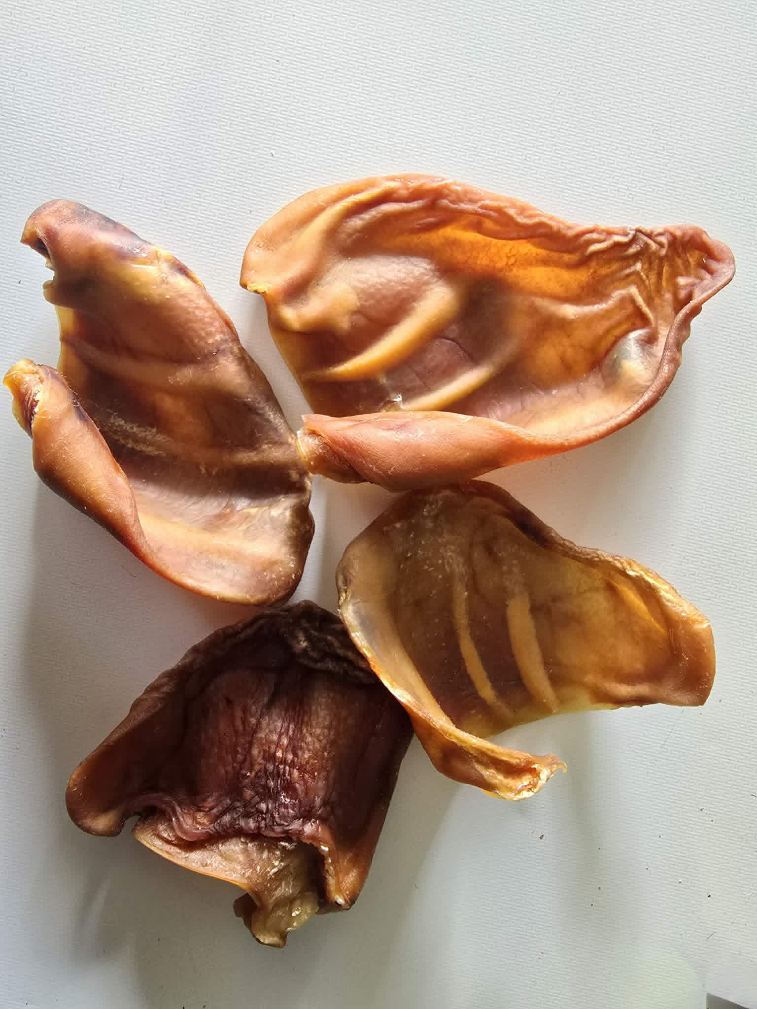 Pig Ear